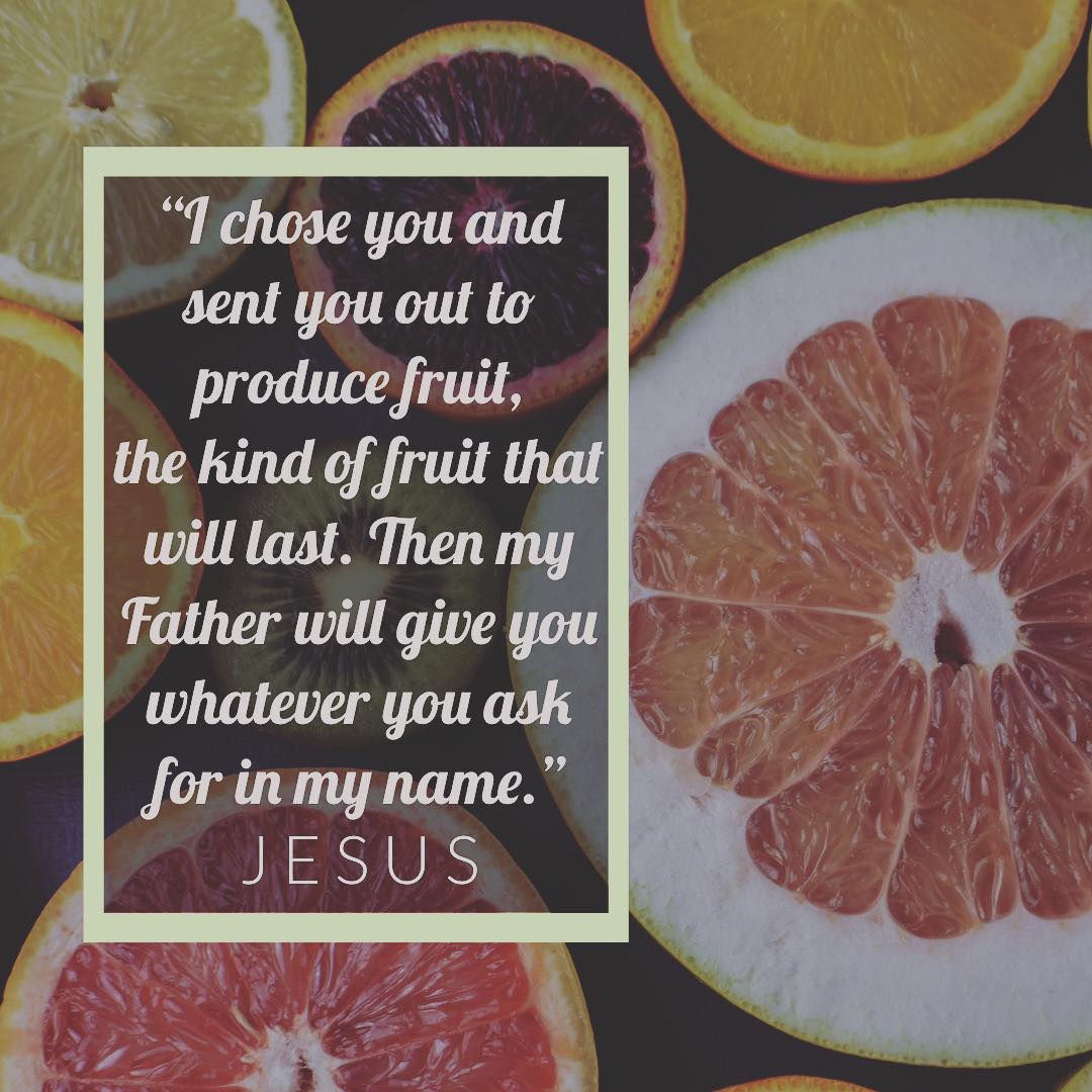 Fruit That Will Last – The Scripture Feed